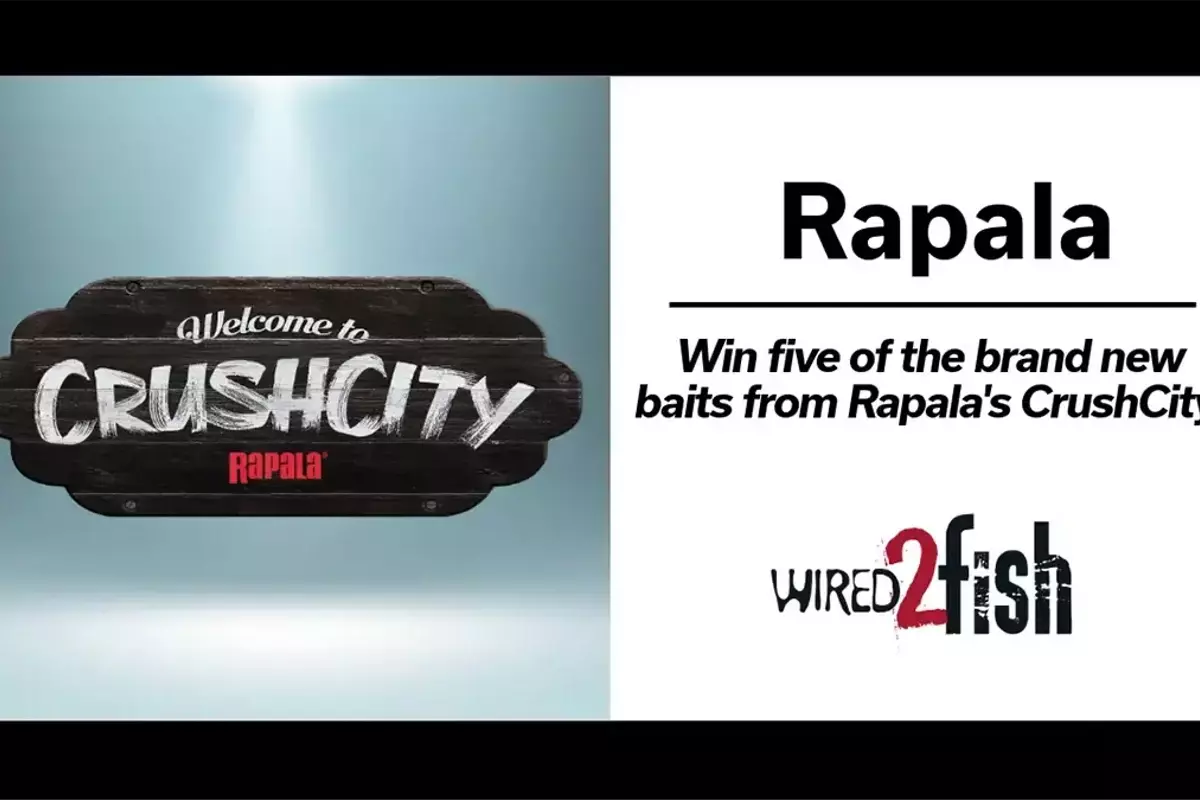 Rapala CrushCity Bait Winners Announced and New Product Features Revealed