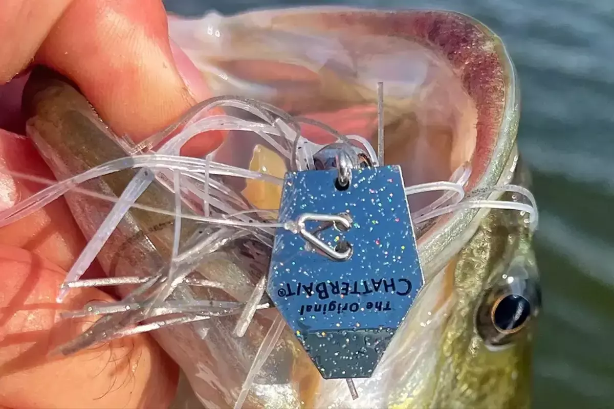 Z-Man ChatterBait EVO HD: Redefining Bladed Jig Performance