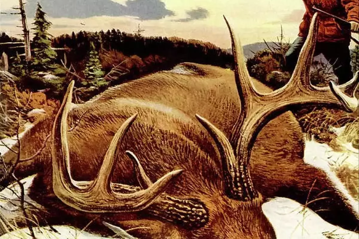 The Quest for Record-Breaking Whitetail Bucks