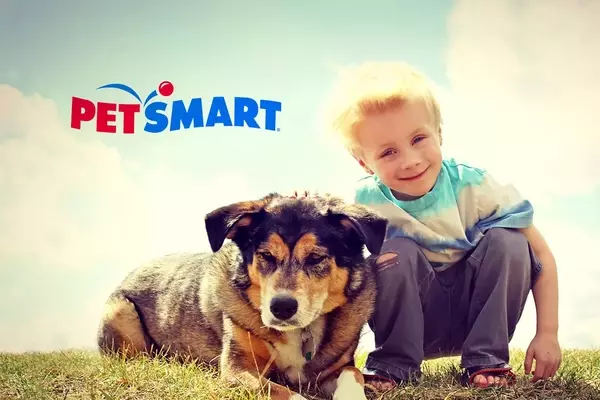 The PetSmart Promise: Diverse Services and Passionate Care for Your Pets