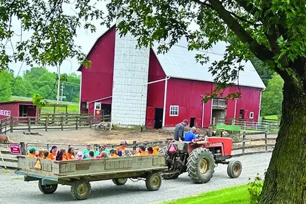 Healing Hearts: A Unique Camp for Grieving Children