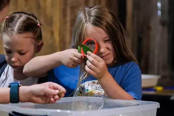 Exploring Nature Through Summer Camp Adventures at Macoskey Center