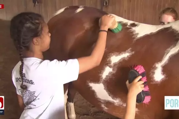 Summer Fun Awaits at the Enchanting Farm Camp