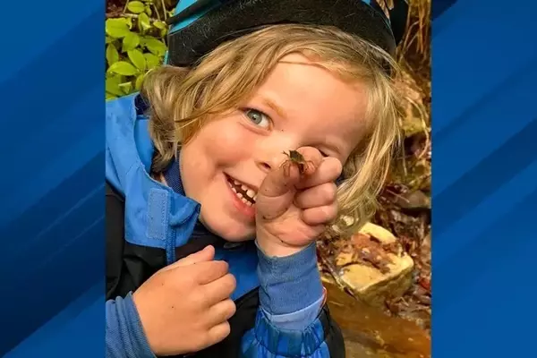 Rediscovering Childhood Through the Eyes of a Grandchild