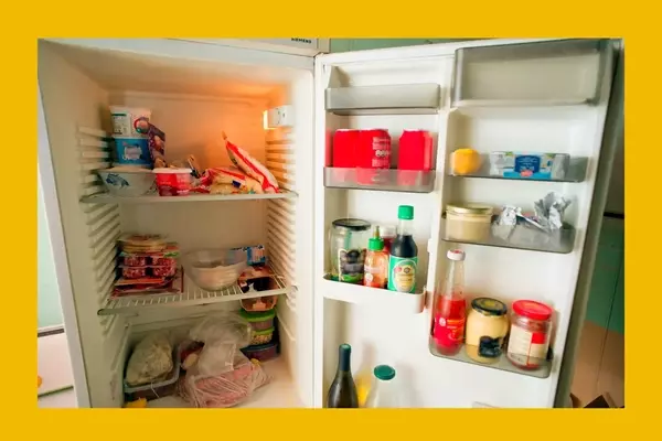 Generational Perspectives: The 'Millennial Flex' of a Garage Fridge Sparks Online Debate