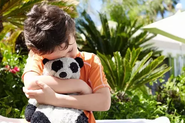 The Lost Stuffy Project: Restoring Comfort Amidst Disaster