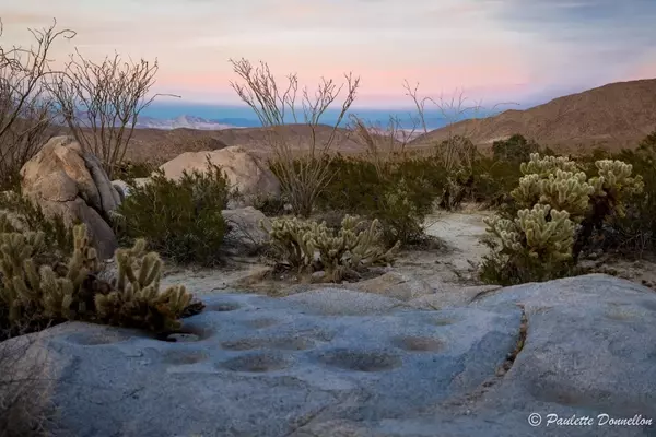 Winter Adventures in Anza-Borrego Desert State Park