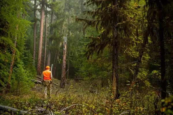 Montana's Kootenai Country: A Wilderness of Awe and Connection