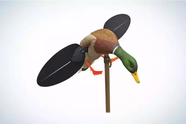 Top Three Motion Decoys for Successful Duck Hunting