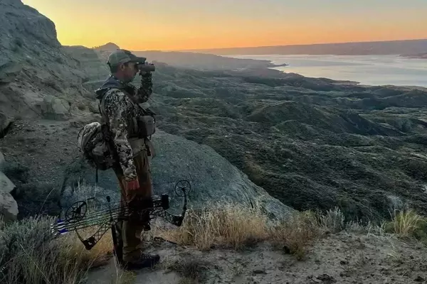 Top 10 High-Performance Binocular Harnesses Reviewed