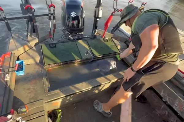Nebraska Angler Catches Record-Breaking Blue Catfish in Iowa Waters