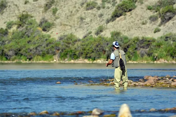 The Perilous Practice of Catch-and-Release: A Deeper Look into Trout Mortality