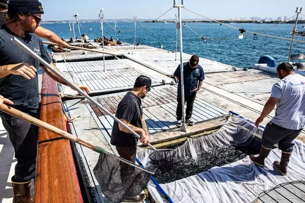 The Enduring Passion of Offshore Tuna Fishing Crews in Southern California