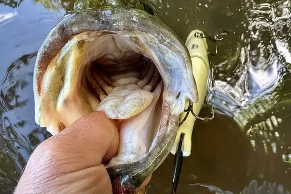 Understanding Lake Turnover's Impact on Fishing