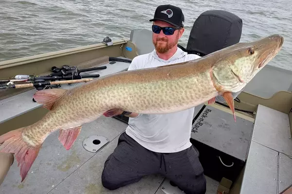 Wisconsin Angler Lands New Live-Release Muskie Record