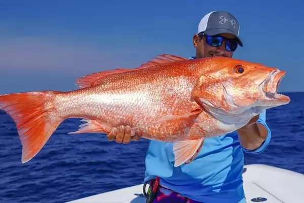 Florida's Initiative to Assume Control of Atlantic Red Snapper Fishery Management