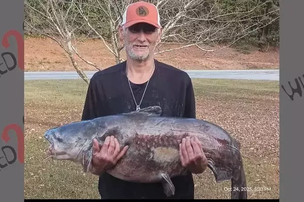 Lake Hartwell Angler Catches Record-Breaking 53.5-Pound Blue Catfish From Dock