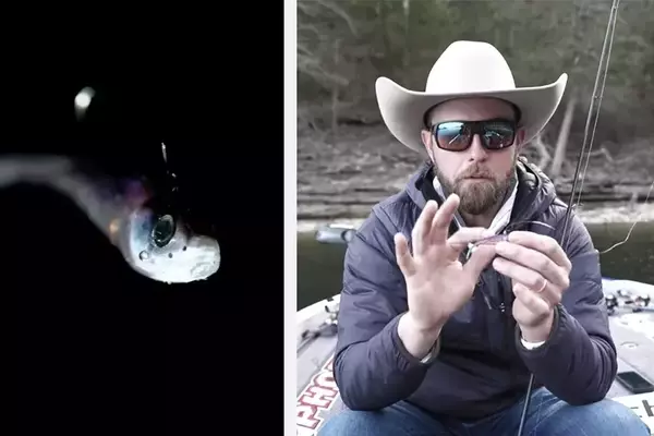 The Crucial Role of Weight Selection in FFS Baits for Successful Angling