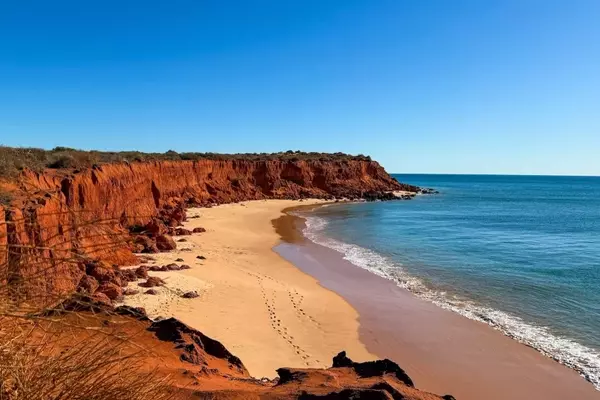 Tropical Escapes: Exploring Coastal National Parks to Defy Winter's Chill
