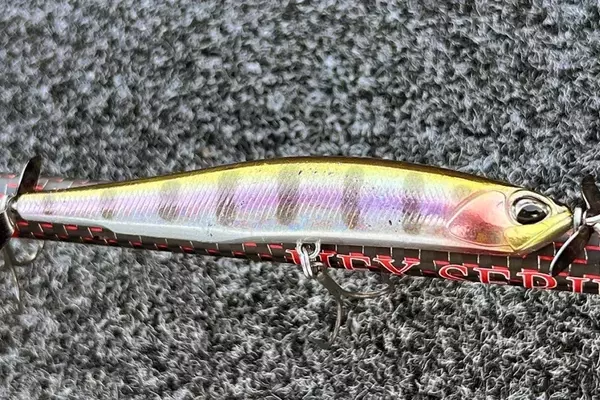 Mastering the Art of Spybaiting: A Guide to Finesse Bass Fishing