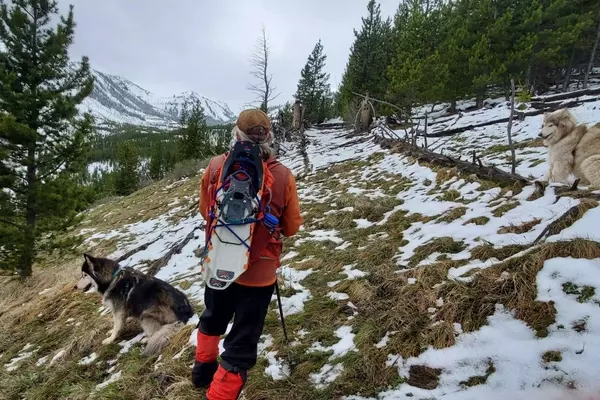The Ultimate Guide to the Top 8 Snowshoes of 2026