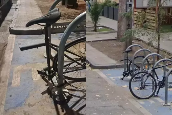 Cycling World Reacts to Bizarre Bike Damage, Infrastructure Debates, and Cyclocross Triumphs