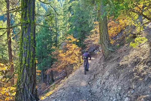 California's Sierra Nevada Inaugurates First Town-to-Town Mountain Bike Trail