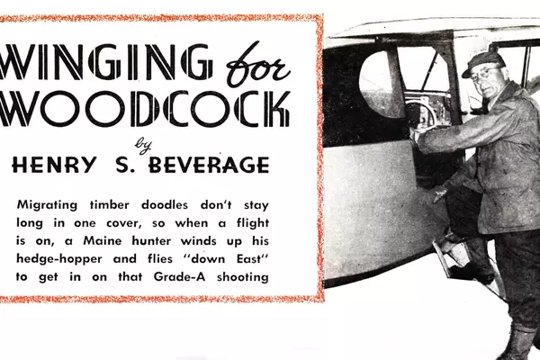 A Memorable Woodcock Hunting Expedition in Maine