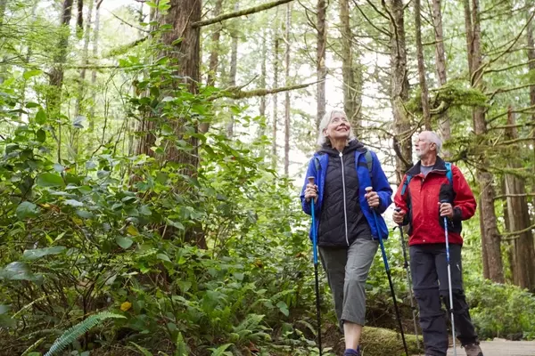 Embracing the Trail: Hiking for Beginners Over 50