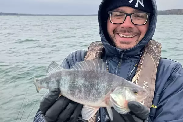 The Enigmatic Blue: Unraveling the Mystery of Azure-Hued Freshwater Fish