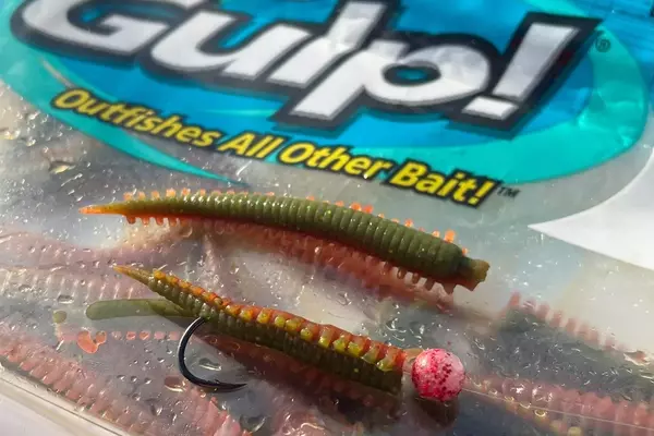 Surf Perch Fishing: A Guide to West Coast Delights