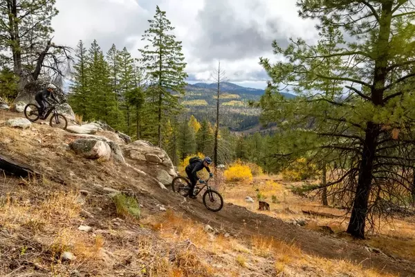 Loup Loup Ski Bowl Transforms into a Year-Round Mountain Biking Destination