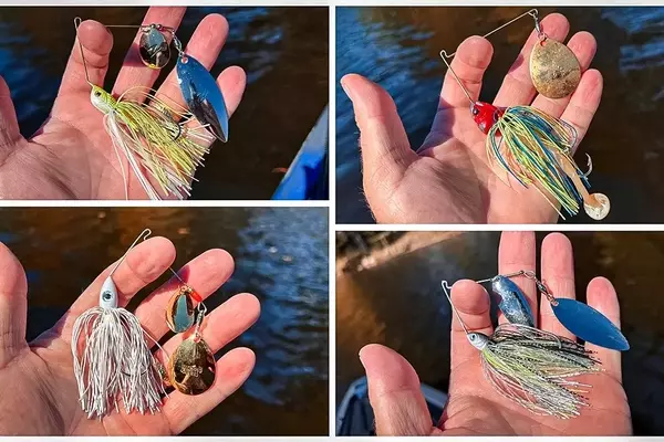 The Unrivaled Versatility of the Spinnerbait in Angling