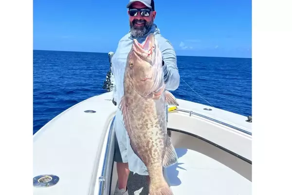 Angler Sets New IGFA Gag Grouper Length Record in Gulf of Mexico