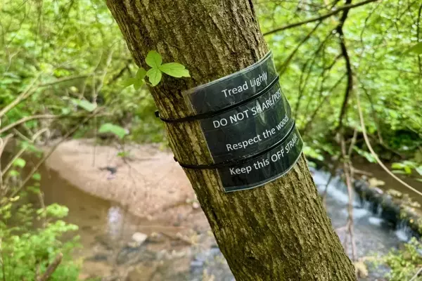 The Enigma of Concealed Trails: A Community Discourse