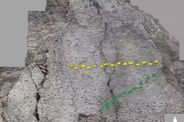 Ancient Dinosaur Tracks Uncovered Near Italian Winter Olympic Sites