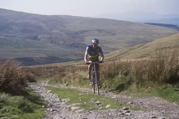 The Enduring Appeal of Hybrid Bicycles: Bridging the Gap Between Road and Trail