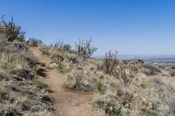 Albuquerque's Trail Expansion: A Vision for West Mesa