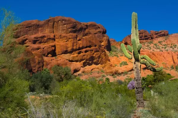 Drone Delivers Lifesaving Supplies to Stranded Hiker