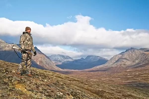 Pursuing Brown Bears in the Alaskan Wilderness: A Hunter's Chronicle
