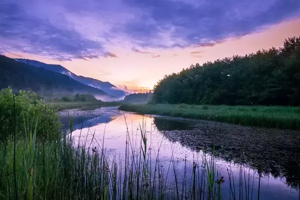 Mastering River Dynamics: A Comprehensive Guide to Multi-Species Angling