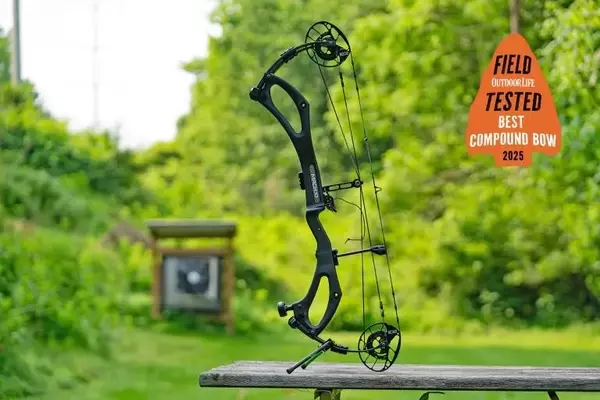 Top Archery Equipment for 2025: A Comprehensive Review