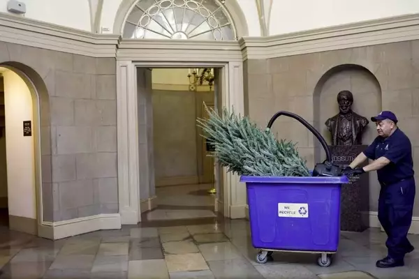 Sustainable Holiday Cleanup: Managing Post-Celebration Waste