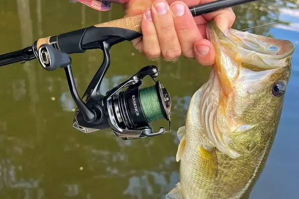 Shimano Exsence B Spinning Reel: A Comprehensive Review