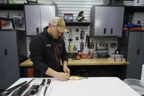 Mastering Perch Filleting: A Comprehensive Guide to Maximizing Yield