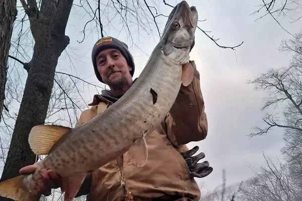 Ohio Angler Lands Massive Muskie in Winter