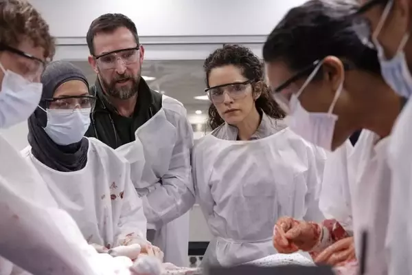 Realism of "The Pitt" Resonates with Medical Professionals