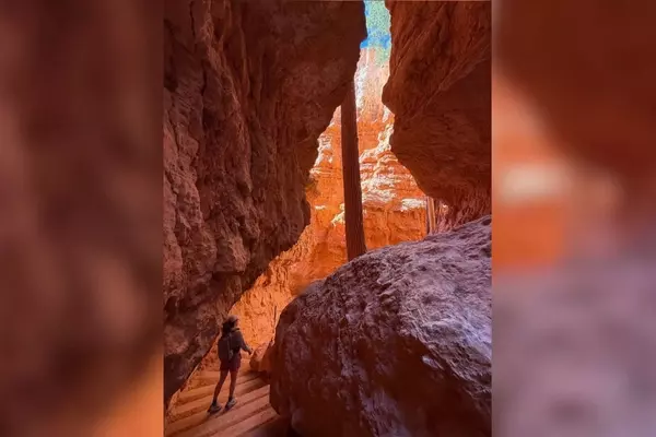 National Parks: A Journey of Activism and Discovery
