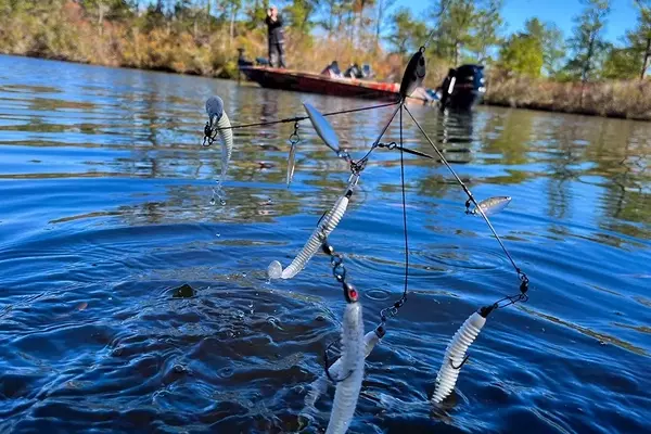 Mastering the Alabama Rig: A Winter Bass Fishing Essential