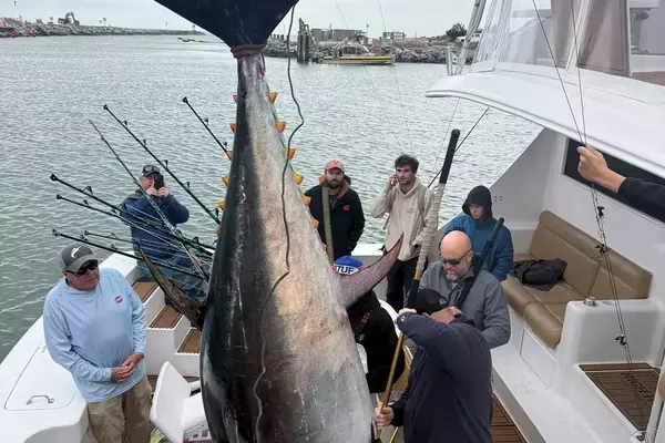 Virginia Angler Reels in Record-Breaking Bluefin Tuna